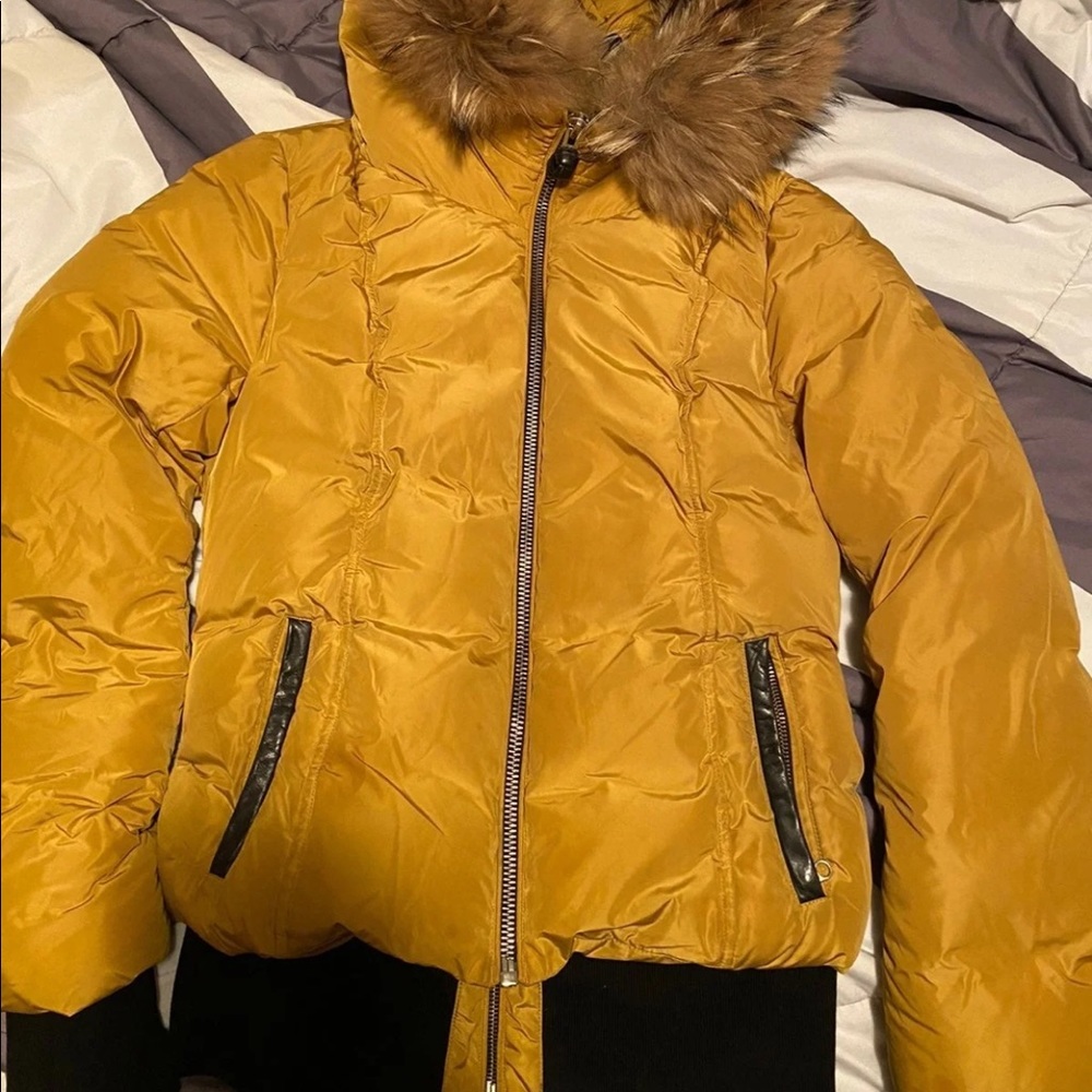 Mackage jacket
